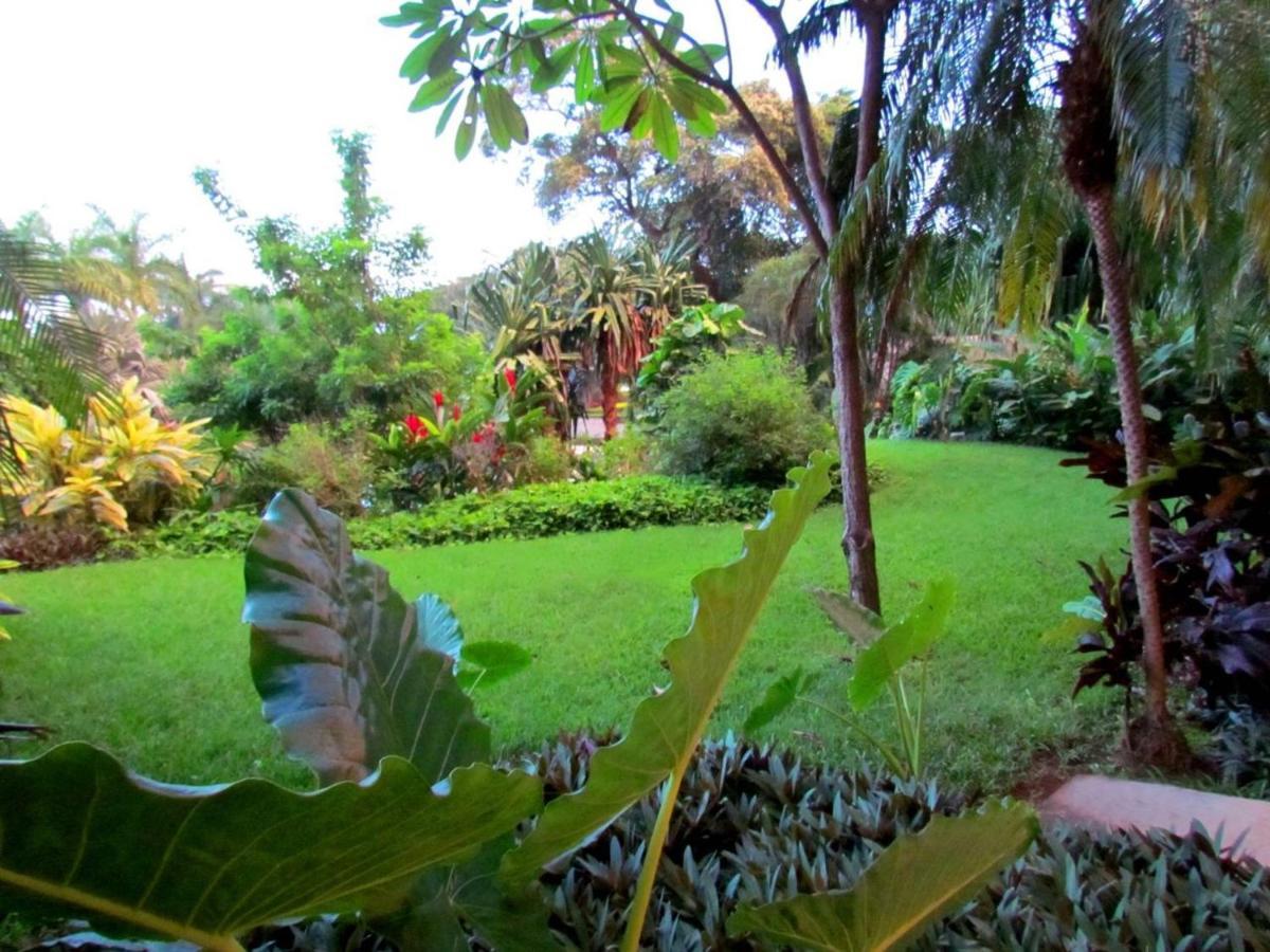 Tamarindo Condo 206 Matapalo Eksteriør bilde